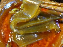 武隆宽苕粉-独雅老火锅(原宏声巷店)