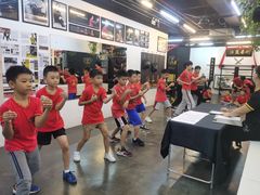 -温鉴良实用咏春拳