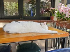 -まるみち   丸道东京烧肉(虹梅路店)