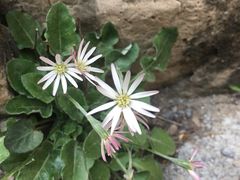 -山西通天峡景区