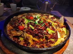 -老板恋上鱼(恒隆广场店)