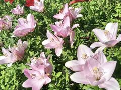 -长春公园(普阳街道)