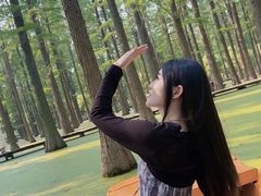 -渌洋湖湿地公园