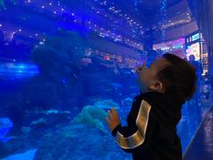 -成都浩海立方海洋公园