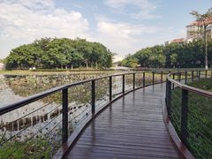 -映月湖公园