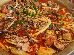 -张翻越·川渝冒菜·武汉黑鸭煲(城北万象城店)