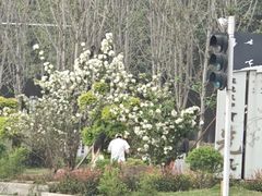 -大龙山(地铁站)