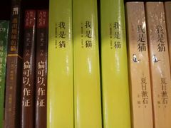 -猫的天空之城概念书店(苏州平江店)