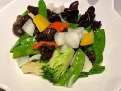 橄榄油炒田园时蔬-大树餐厅(益田假日店)