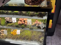 -滇野云南野生菌餐厅(陕西南路店)