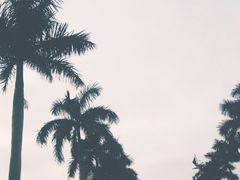 -仙人山公园