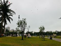 -万绿园