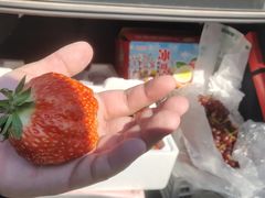 -西郊国际农产品交易中心