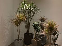 -北京三里屯CHAO酒店