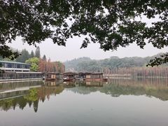 -三水森林公园