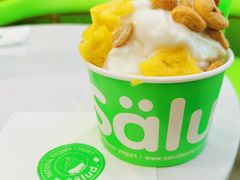 -Salud撒露欧洲冻酸奶(五道口购物中心店)