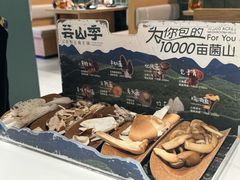 -芸山季·云南山珍菌火锅(南翔印象城MEGA店)