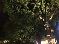 -Shanghai Brew House上海啤酒工坊(老外街店)