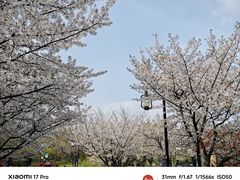 -相门城墙文化休闲景区