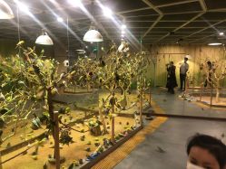 -七巧国萌宠乐园(龙湖天街店)