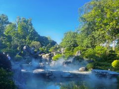 -东莞植物园
