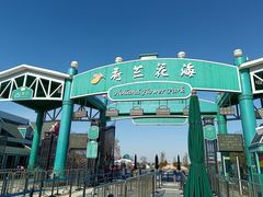 -荷兰花海