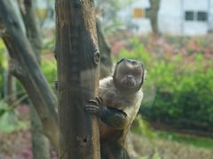 -杭州野生动物世界