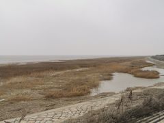 -南汇嘴观海公园