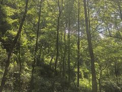 -会稽山峡洞漂流-上青古道