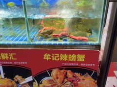 -牟记江湖重庆地标特色菜鱼蛋海鲜无刺鲫鱼(巴南区黑金冠十多年好店)