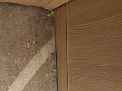 -上海虹桥西郊假日酒店