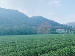 -西湖风景区十里琅珰-五云山