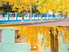 -四川大学(望江校区)