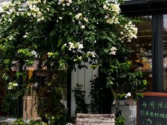 -花神·轻食简餐·咖啡馆·花卉绿植(荷兰花卉小镇店)