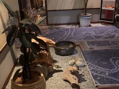 -鼎族怡华·指压·经络·疗愈SPA(紫荆店)