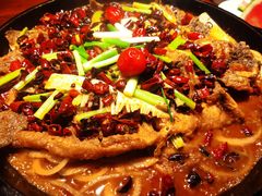 老板恋上鱼-老板恋上鱼(高新万达店)