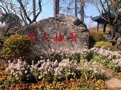 -无锡梅园公园