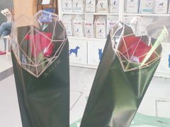 -爱侣宠医·鹦鹉专科·小型哺乳类·异宠专科(灵石路店)