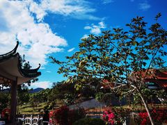 -大屏嶂森林公园