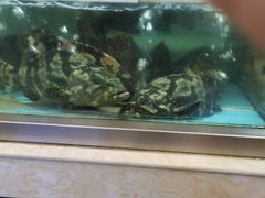 -乐在集市海鲜大排档(平潭店)
