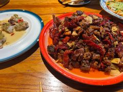 -柴窝堡22号辣子鸡·传承新疆菜