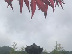 -梭布垭石林景区