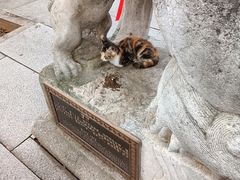 -宝通禅寺