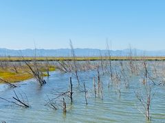 -野鸭湖国家湿地公园