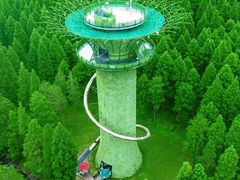 -黄海国家森林公园