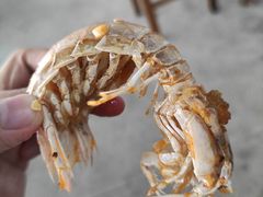 -明记海鲜大排档(巽寮湾店)