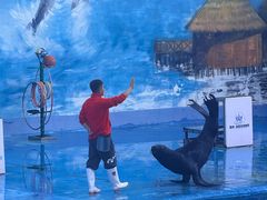 -石林冰雪海洋世界