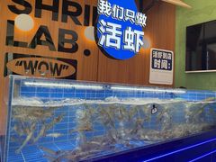 -0048鲜活香辣虾·火锅(铜陵路店)
