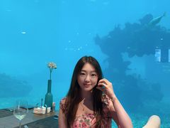 -涛·海底餐厅·美人鱼·自助餐·海底隧道(三亚海棠湾洲际度假酒店)