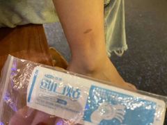 -世界之窗阿尔卑斯冰雪世界
